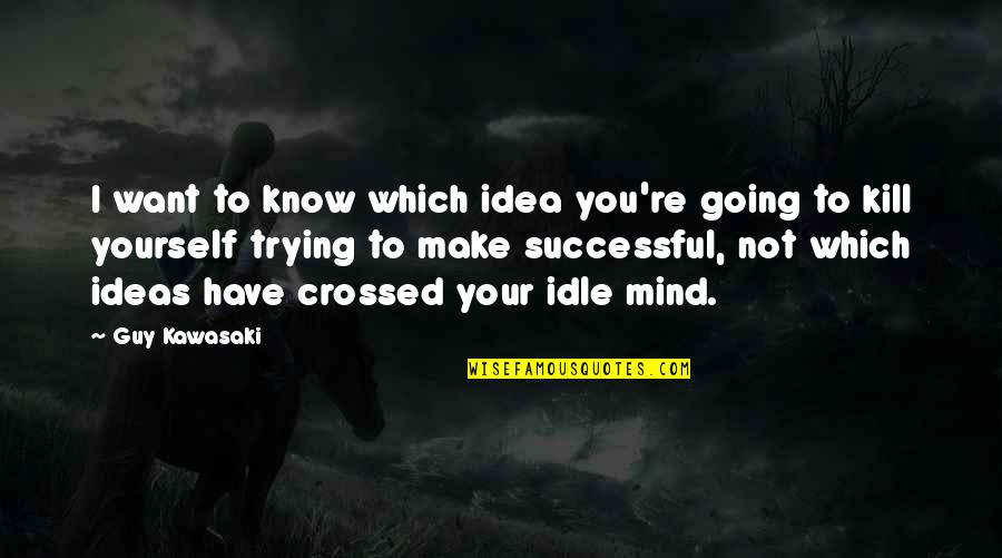 Christian Refreshing Quotes By Guy Kawasaki: I want to know which idea you're going