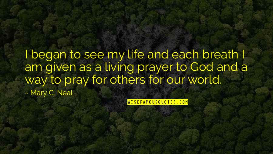 Christian Religious Quotes By Mary C. Neal: I began to see my life and each Christian Religious Quotes By Mary C. Neal: I began to see my life and each