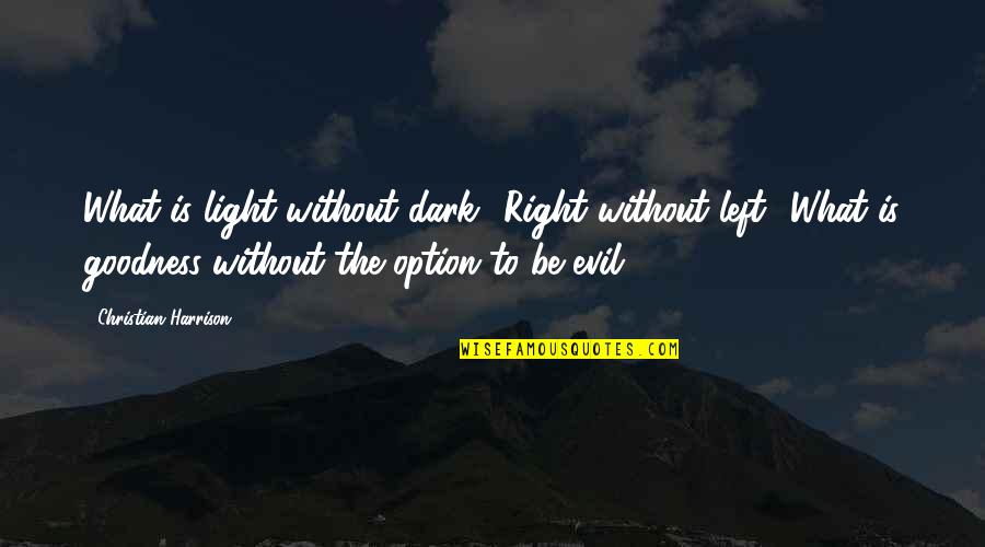 Christian Right Quotes By Christian Harrison: What is light without dark? Right without left?