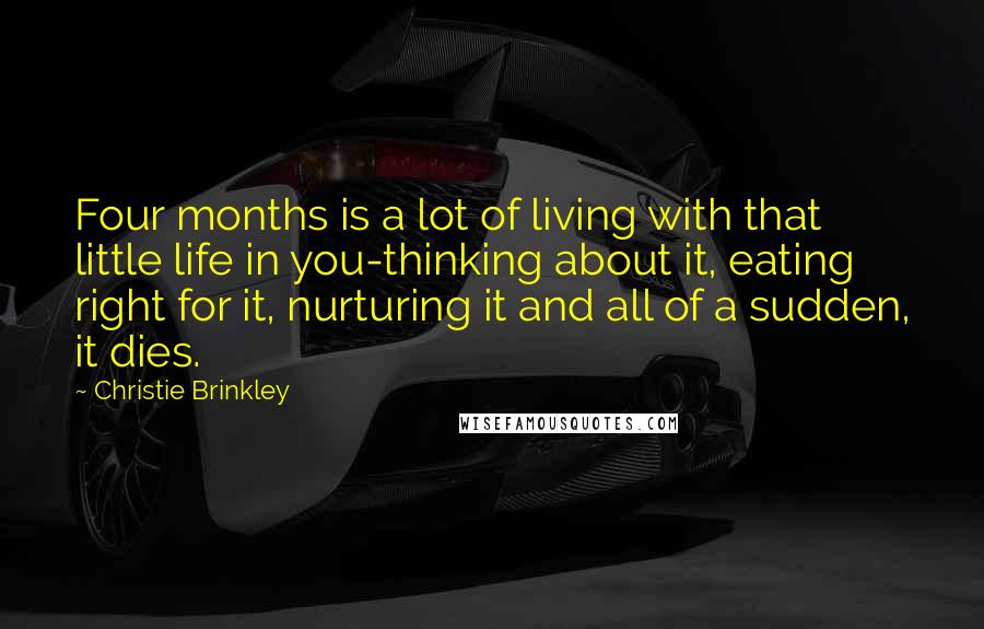 Christie Brinkley quotes: Four months is a lot of living with that little life in you-thinking about it, eating right for it, nurturing it and all of a sudden, it dies. Christie Brinkley quotes: Four months is a lot of living with that little life in you-thinking about it, eating right for it, nurturing it and all of a sudden, it dies.