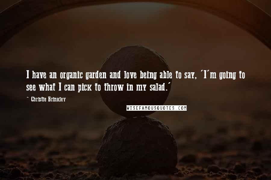 Christie Brinkley quotes: I have an organic garden and love being able to say, 'I'm going to see what I can pick to throw in my salad.' Christie Brinkley quotes: I have an organic garden and love being able to say, 'I'm going to see what I can pick to throw in my salad.'