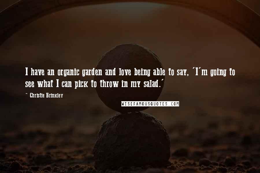 Christie Brinkley quotes: I have an organic garden and love being able to say, 'I'm going to see what I can pick to throw in my salad.'