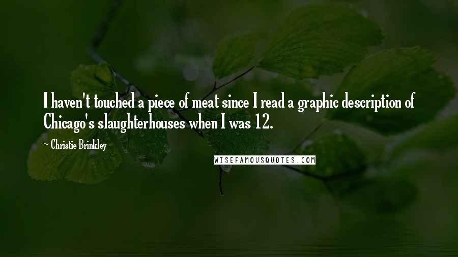 Christie Brinkley quotes: I haven't touched a piece of meat since I read a graphic description of Chicago's slaughterhouses when I was 12.