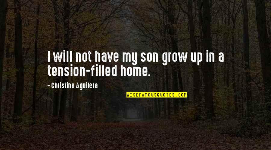 Christina Aguilera Quotes By Christina Aguilera: I will not have my son grow up