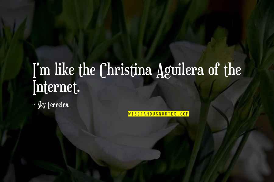 Christina Aguilera Quotes By Sky Ferreira: I'm like the Christina Aguilera of the Internet.