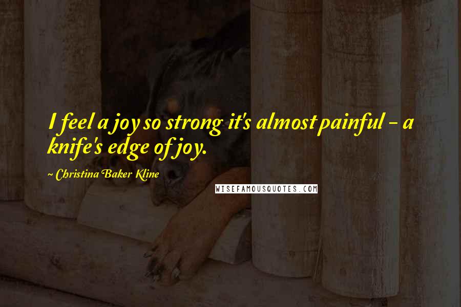 Christina Baker Kline quotes: I feel a joy so strong it's almost painful - a knife's edge of joy.