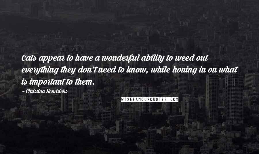 Christina Hendricks quotes: Cats appear to have a wonderful ability to weed out everything they don't need to know, while honing in on what is important to them.