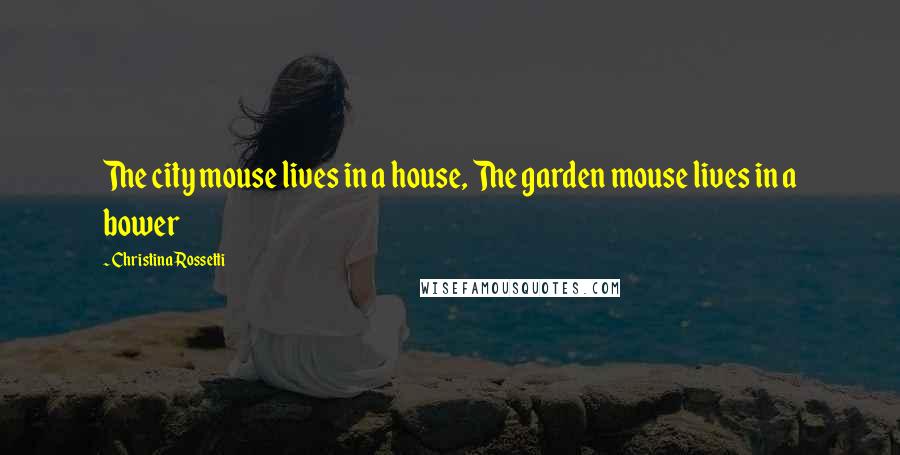 Christina Rossetti quotes: The city mouse lives in a house, The garden mouse lives in a bower Christina Rossetti quotes: The city mouse lives in a house, The garden mouse lives in a bower
