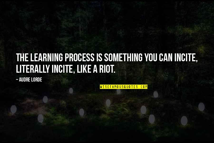 Christina Yang And Meredith Grey Quotes By Audre Lorde: The learning process is something you can incite,