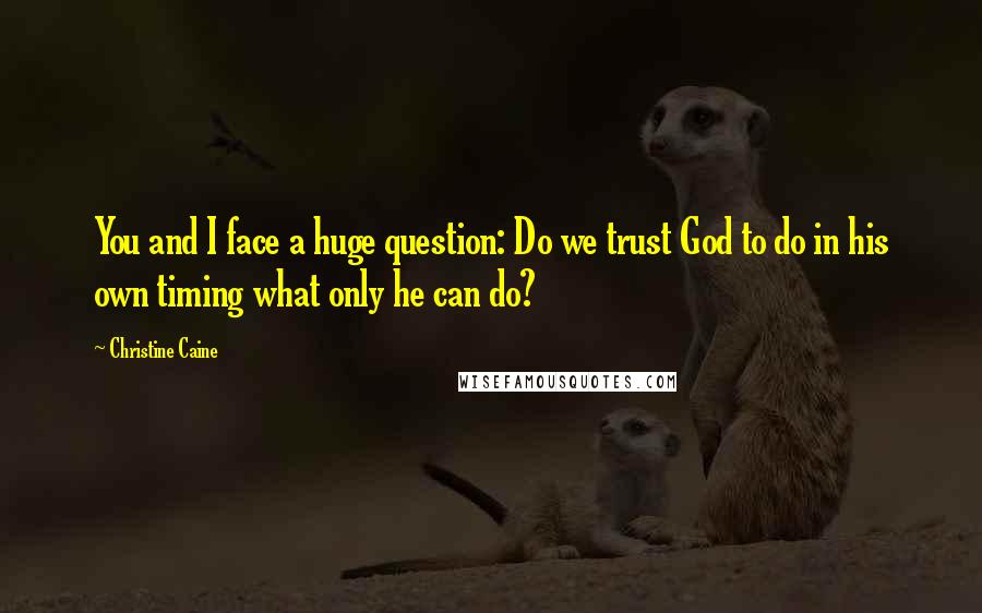 Christine Caine quotes: You and I face a huge question: Do we trust God to do in his own timing what only he can do?