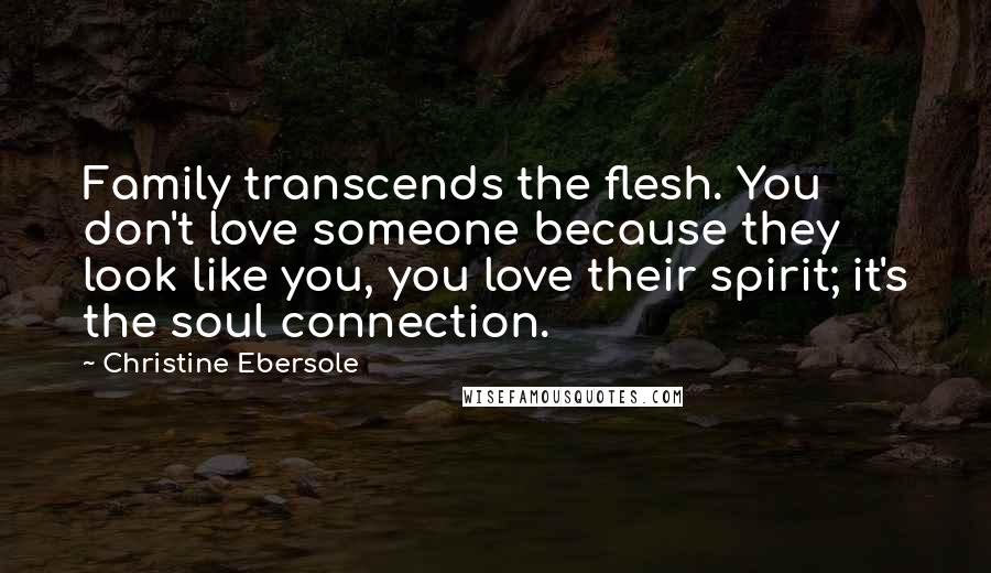 Christine Ebersole quotes: Family transcends the flesh. You don't love someone because they look like you, you love their spirit; it's the soul connection.