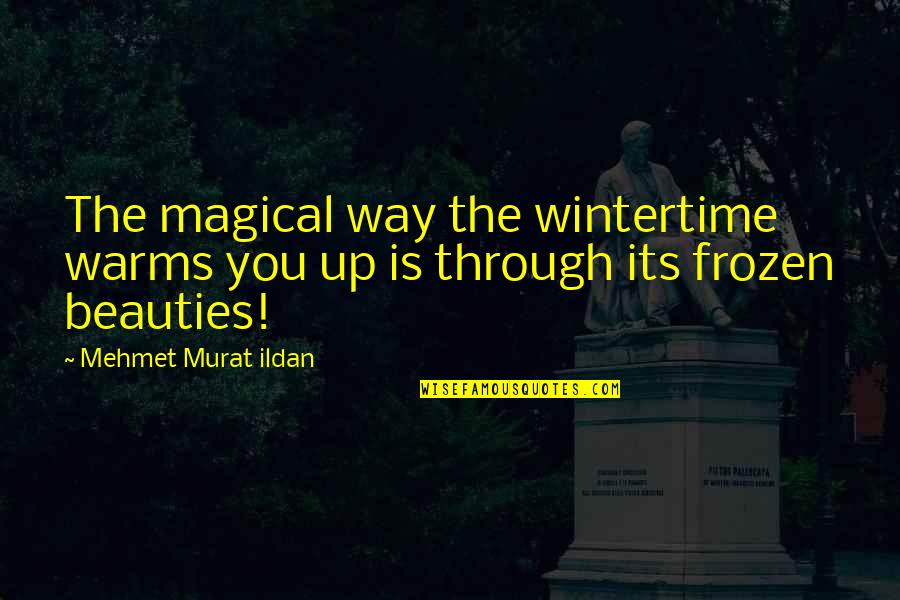 Christine Kaufmann Quotes By Mehmet Murat Ildan: The magical way the wintertime warms you up