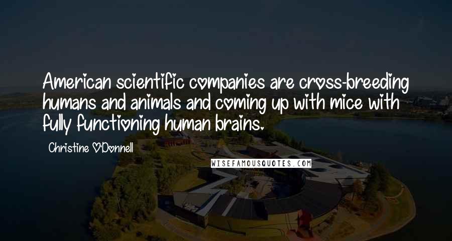 Christine O'Donnell quotes: American scientific companies are cross-breeding humans and animals and coming up with mice with fully functioning human brains.