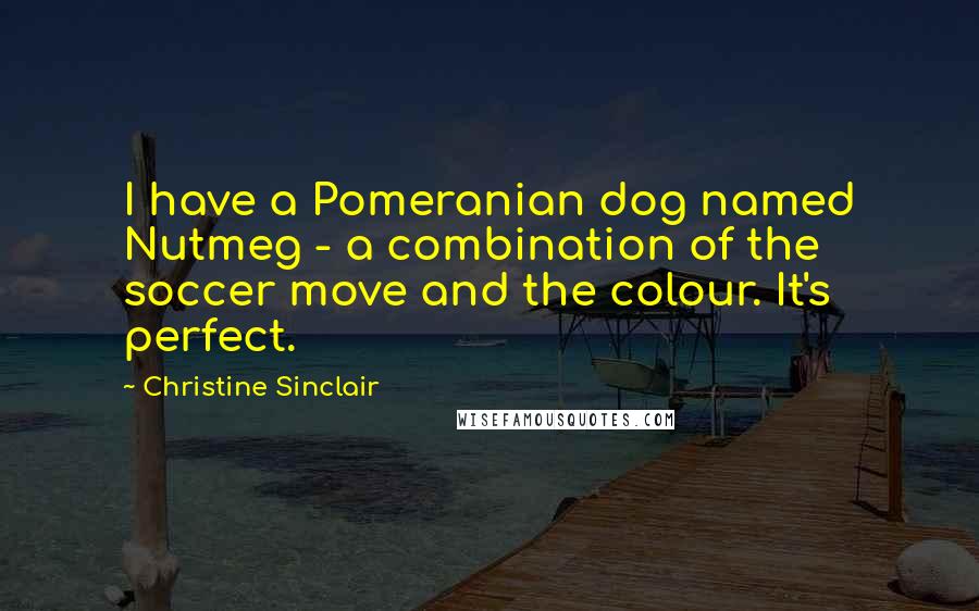 Christine Sinclair quotes: I have a Pomeranian dog named Nutmeg - a combination of the soccer move and the colour. It's perfect.