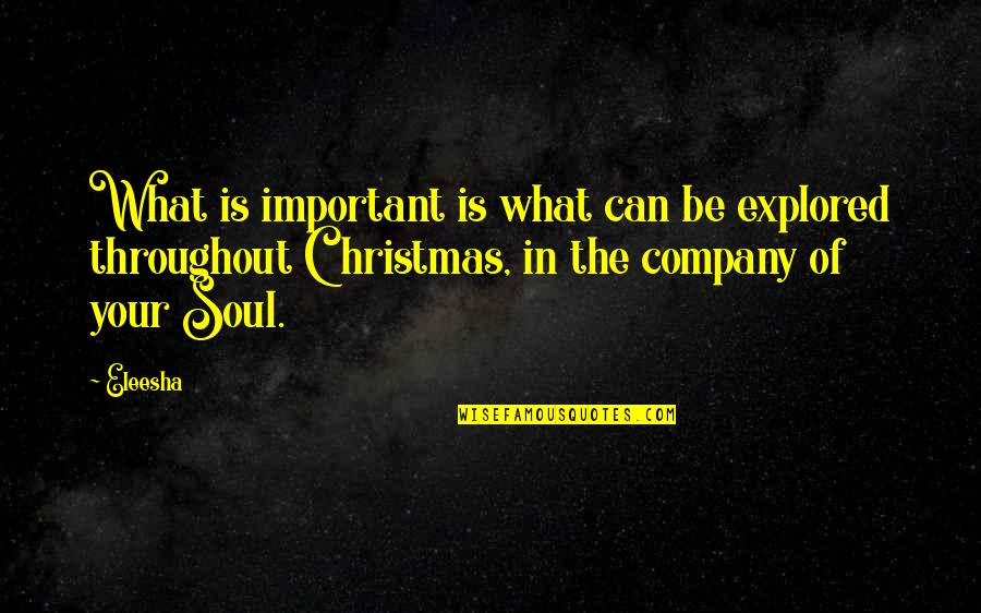 Christmas Affirmations Quotes By Eleesha: What is important is what can be explored