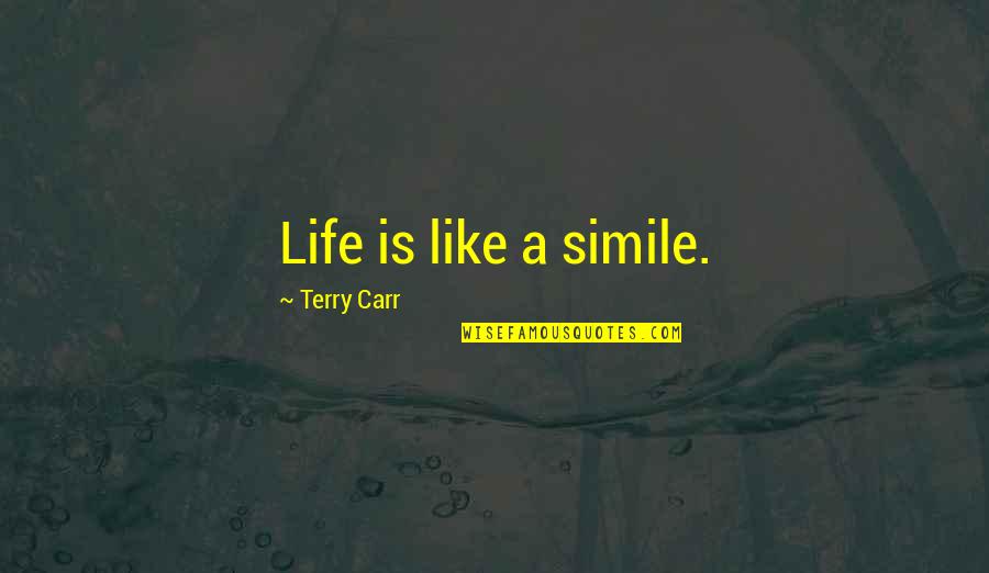 Christmas And Hanukkah Quotes By Terry Carr: Life is like a simile.