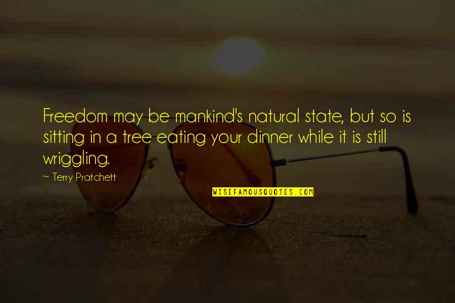 Christmas And Hanukkah Quotes By Terry Pratchett: Freedom may be mankind's natural state, but so
