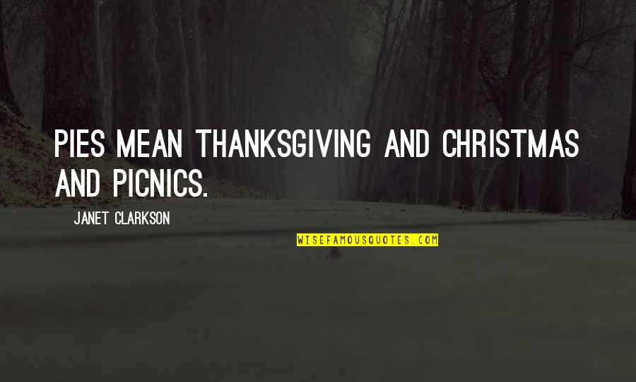 Christmas Celebration Quotes By Janet Clarkson: Pies mean Thanksgiving and Christmas and picnics.