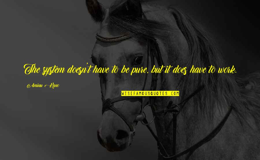 Christmas Comes Early Quotes By Aminu Kano: The system doesn't have to be pure, but