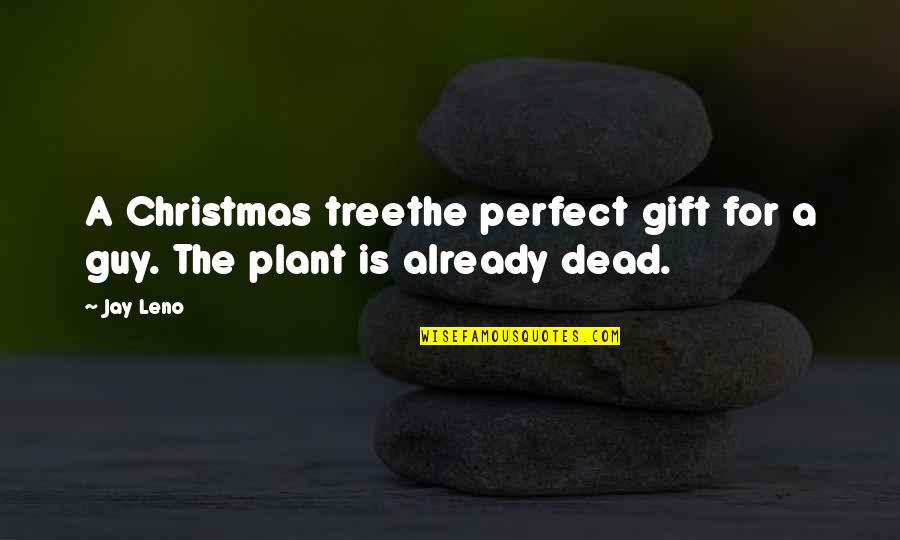 Christmas Gift Quotes By Jay Leno: A Christmas treethe perfect gift for a guy.