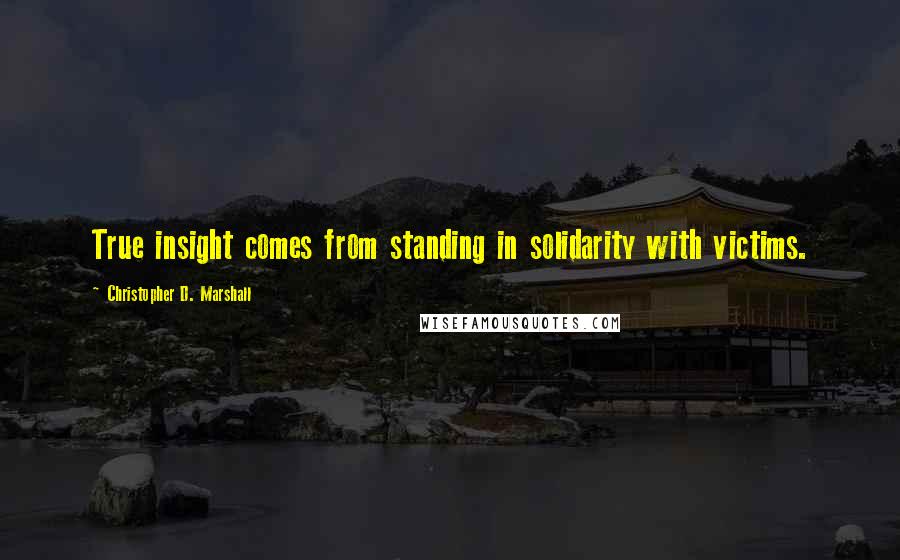 Christopher D. Marshall quotes: True insight comes from standing in solidarity with victims.