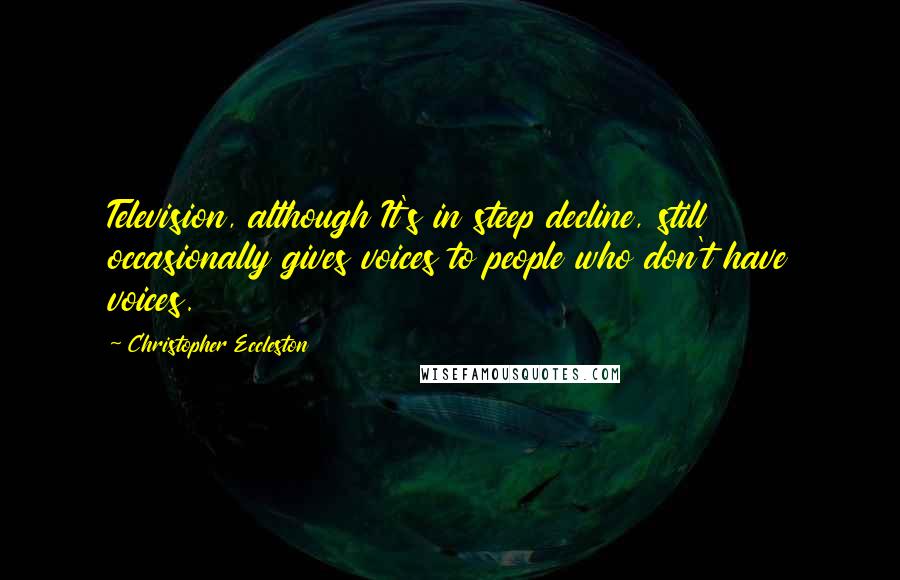 Christopher Eccleston quotes: Television, although It's in steep decline, still occasionally gives voices to people who don't have voices.