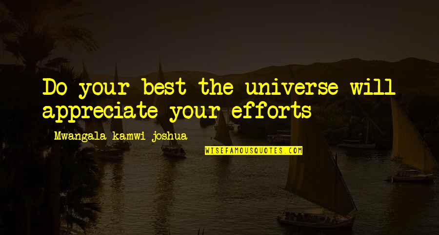 Christopher Lehmann Quotes By Mwangala Kamwi Joshua: Do your best the universe will appreciate your