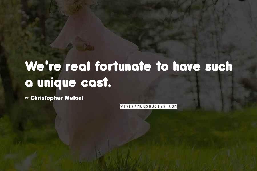 Christopher Meloni quotes: We're real fortunate to have such a unique cast.