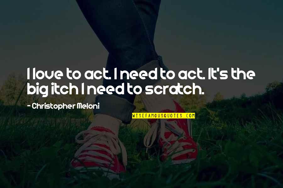 Christopher Meloni Quotes By Christopher Meloni: I love to act. I need to act.