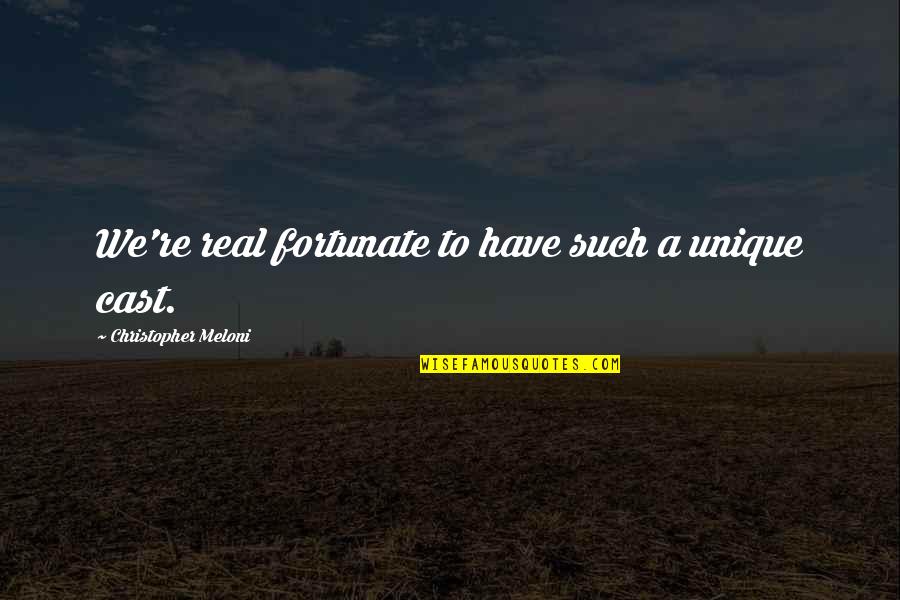 Christopher Meloni Quotes By Christopher Meloni: We're real fortunate to have such a unique