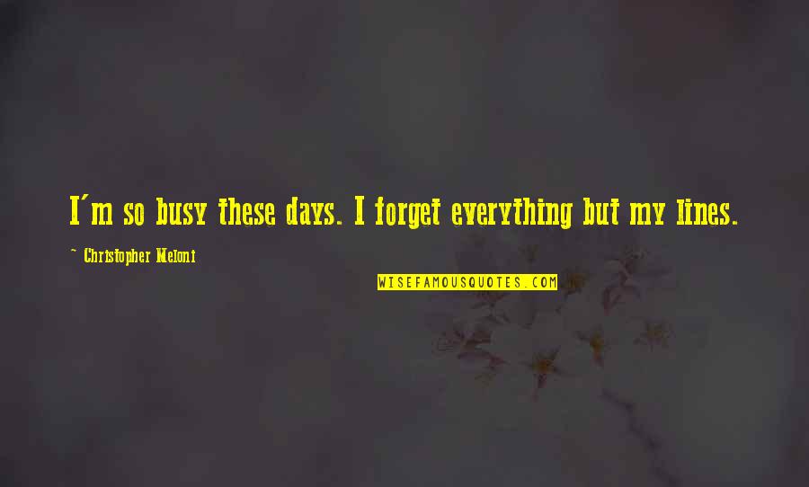 Christopher Meloni Quotes By Christopher Meloni: I'm so busy these days. I forget everything