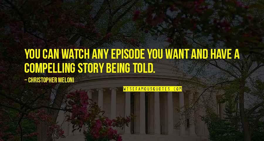 Christopher Meloni Quotes By Christopher Meloni: You can watch any episode you want and