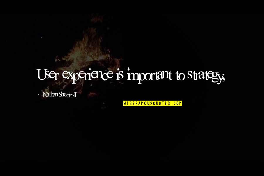 Christopher Meloni Quotes By Nathan Shedroff: User experience is important to strategy,