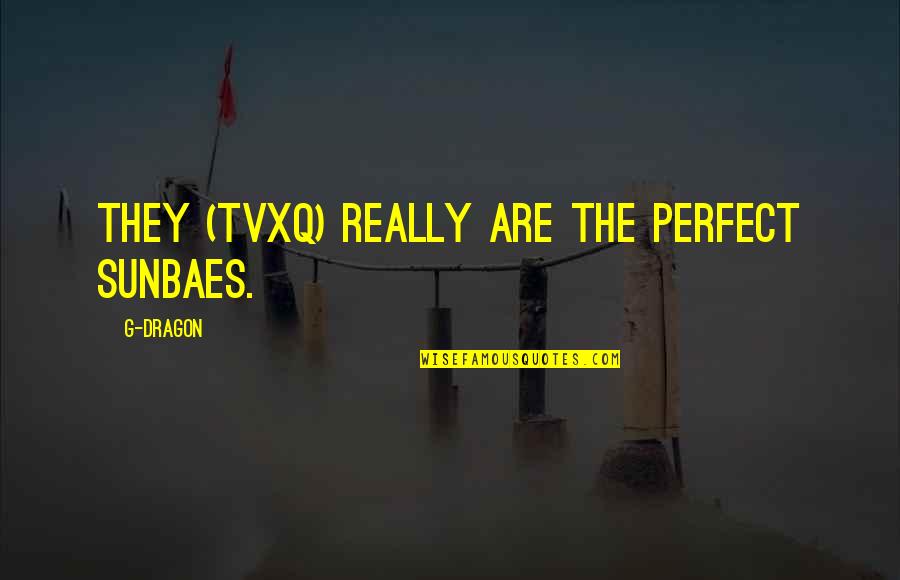 Christopher Moore Bite Me Quotes By G-Dragon: They (TVXQ) really are the perfect sunbaes.