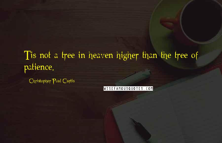 Christopher Paul Curtis quotes: Tis not a tree in heaven higher than the tree of patience.