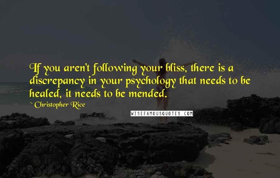 Christopher Rice quotes: If you aren't following your bliss, there is a discrepancy in your psychology that needs to be healed, it needs to be mended.