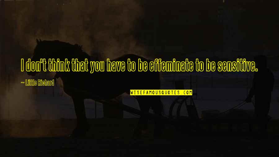 Christophii Quotes By Little Richard: I don't think that you have to be