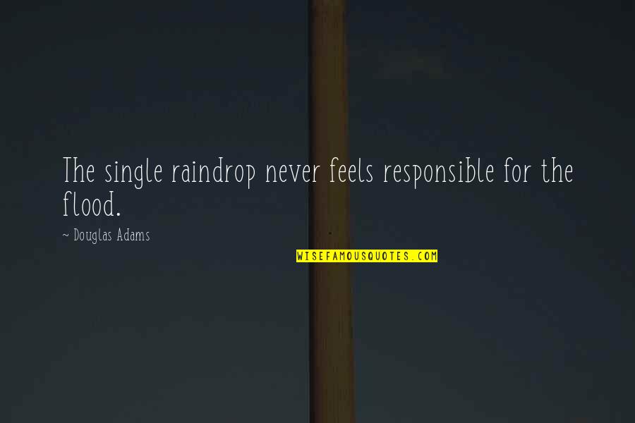 Christy Chibi Quotes By Douglas Adams: The single raindrop never feels responsible for the