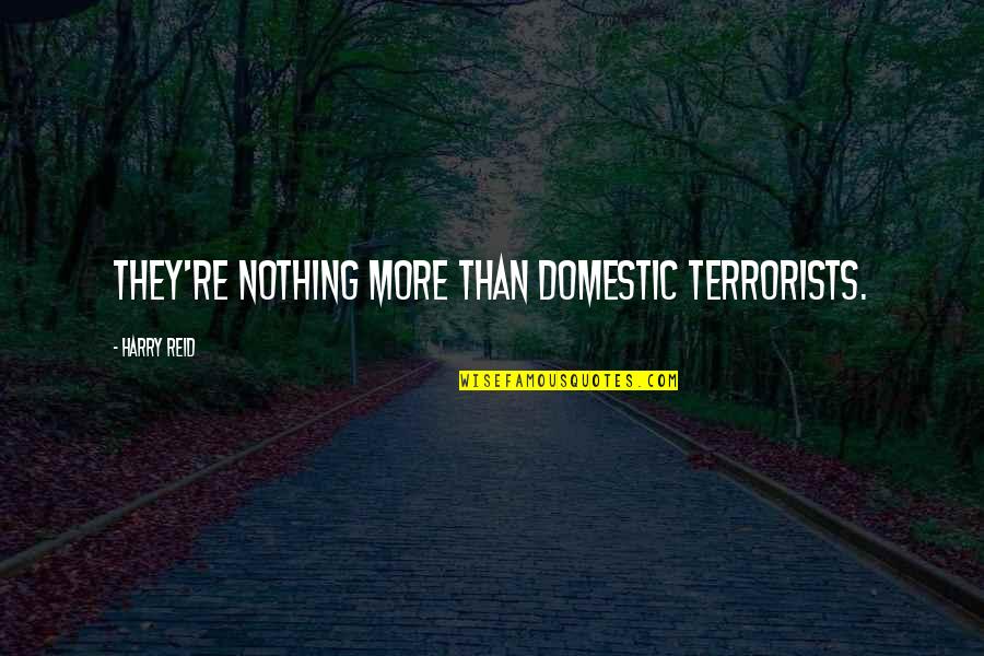 Christy Wright Quotes By Harry Reid: They're nothing more than domestic terrorists.