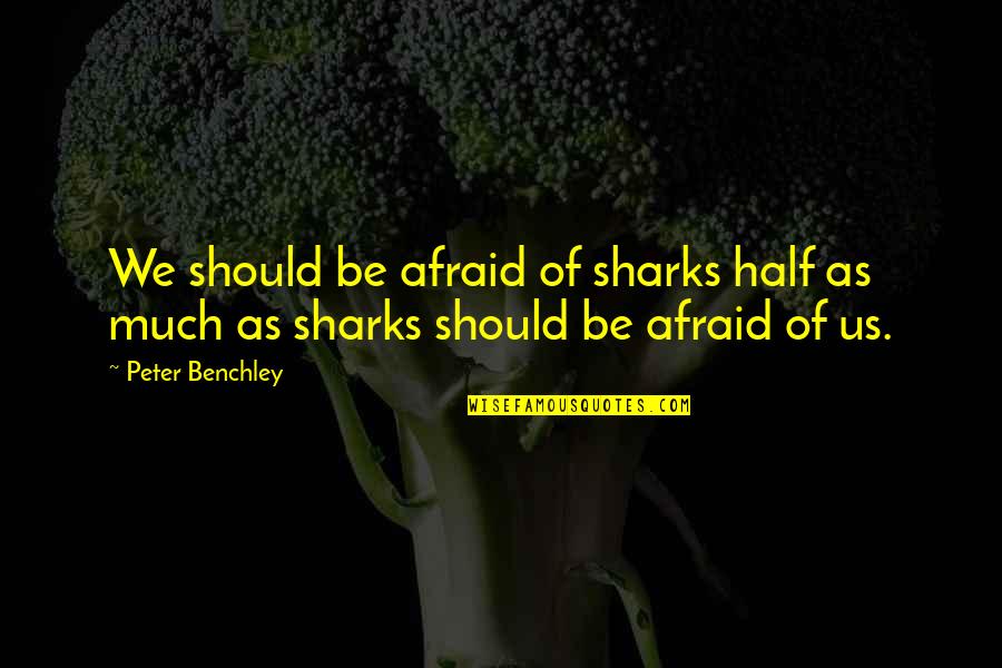 Chromatacia Quotes By Peter Benchley: We should be afraid of sharks half as