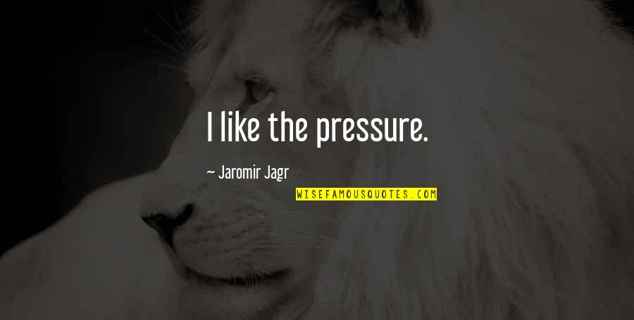 Chrysalids Sealand Woman Quotes By Jaromir Jagr: I like the pressure.