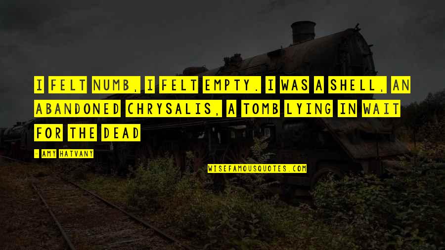Chrysalis Quotes By Amy Hatvany: I felt numb, I felt empty. I was Chrysalis Quotes By Amy Hatvany: I felt numb, I felt empty. I was