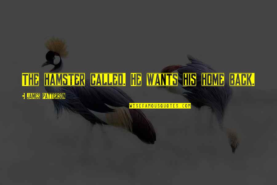 Chrysalis Quotes By James Patterson: The hamster called. He wants his home back. Chrysalis Quotes By James Patterson: The hamster called. He wants his home back.