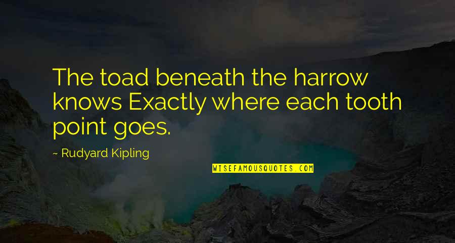 Chrysolite Quotes By Rudyard Kipling: The toad beneath the harrow knows Exactly where Chrysolite Quotes By Rudyard Kipling: The toad beneath the harrow knows Exactly where