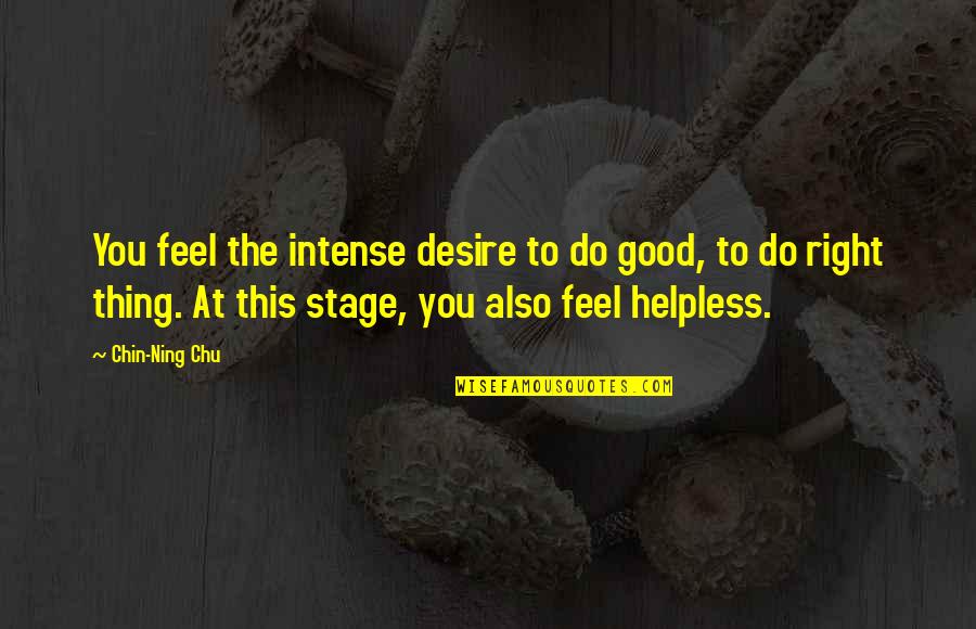 Chu Quotes By Chin-Ning Chu: You feel the intense desire to do good,