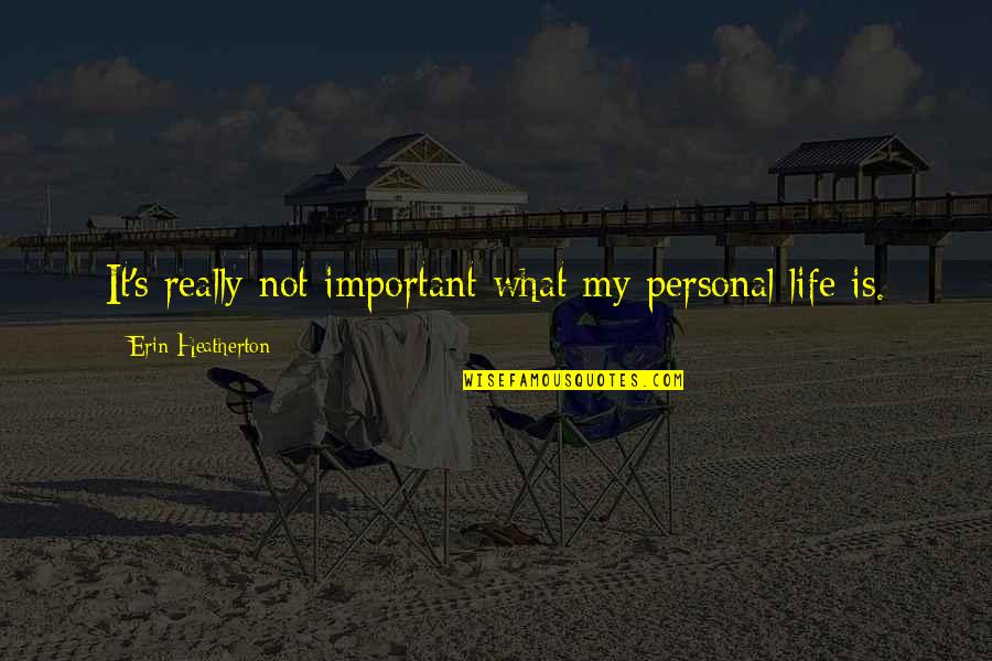 Chu T B Ch Quotes By Erin Heatherton: It's really not important what my personal life