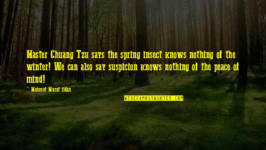 Chuang Tzu Quotes By Mehmet Murat Ildan: Master Chuang Tzu says the spring insect knows