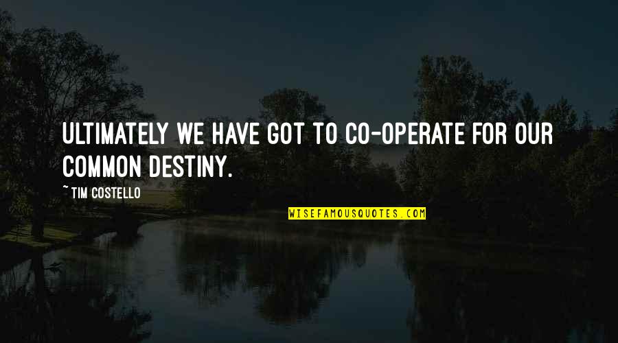 Chubbs Meat Quotes By Tim Costello: Ultimately we have got to co-operate for our