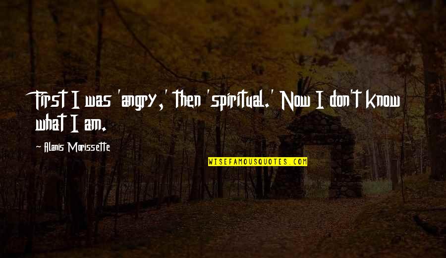 Chubby Guys Quotes By Alanis Morissette: First I was 'angry,' then 'spiritual.' Now I Chubby Guys Quotes By Alanis Morissette: First I was 'angry,' then 'spiritual.' Now I