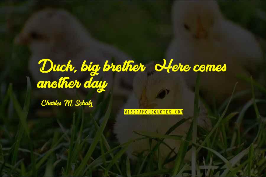 Chubbys Cajahs Quotes By Charles M. Schulz: Duck, big brother! Here comes another day! Chubbys Cajahs Quotes By Charles M. Schulz: Duck, big brother! Here comes another day!